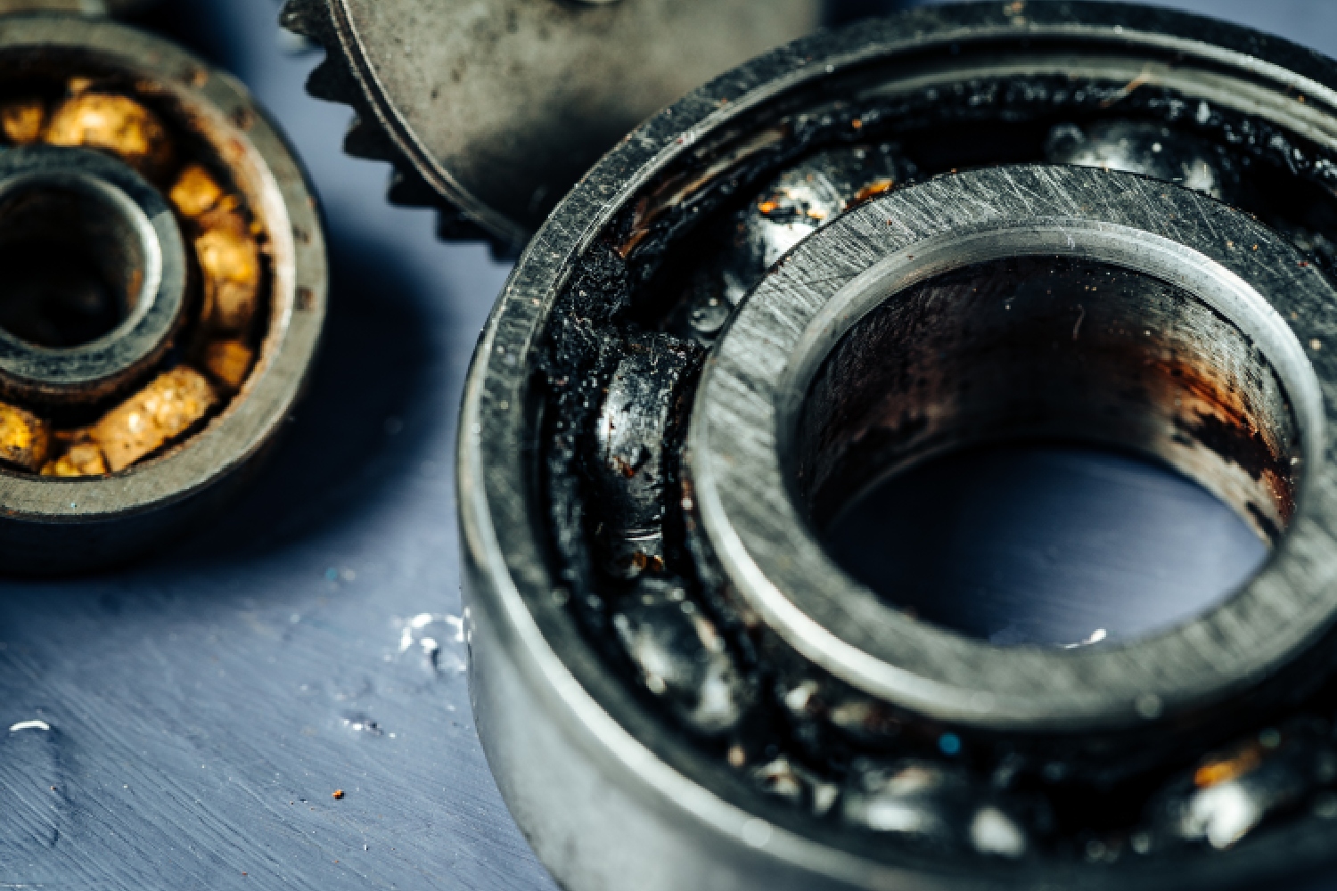 Bearings and mechanical seal